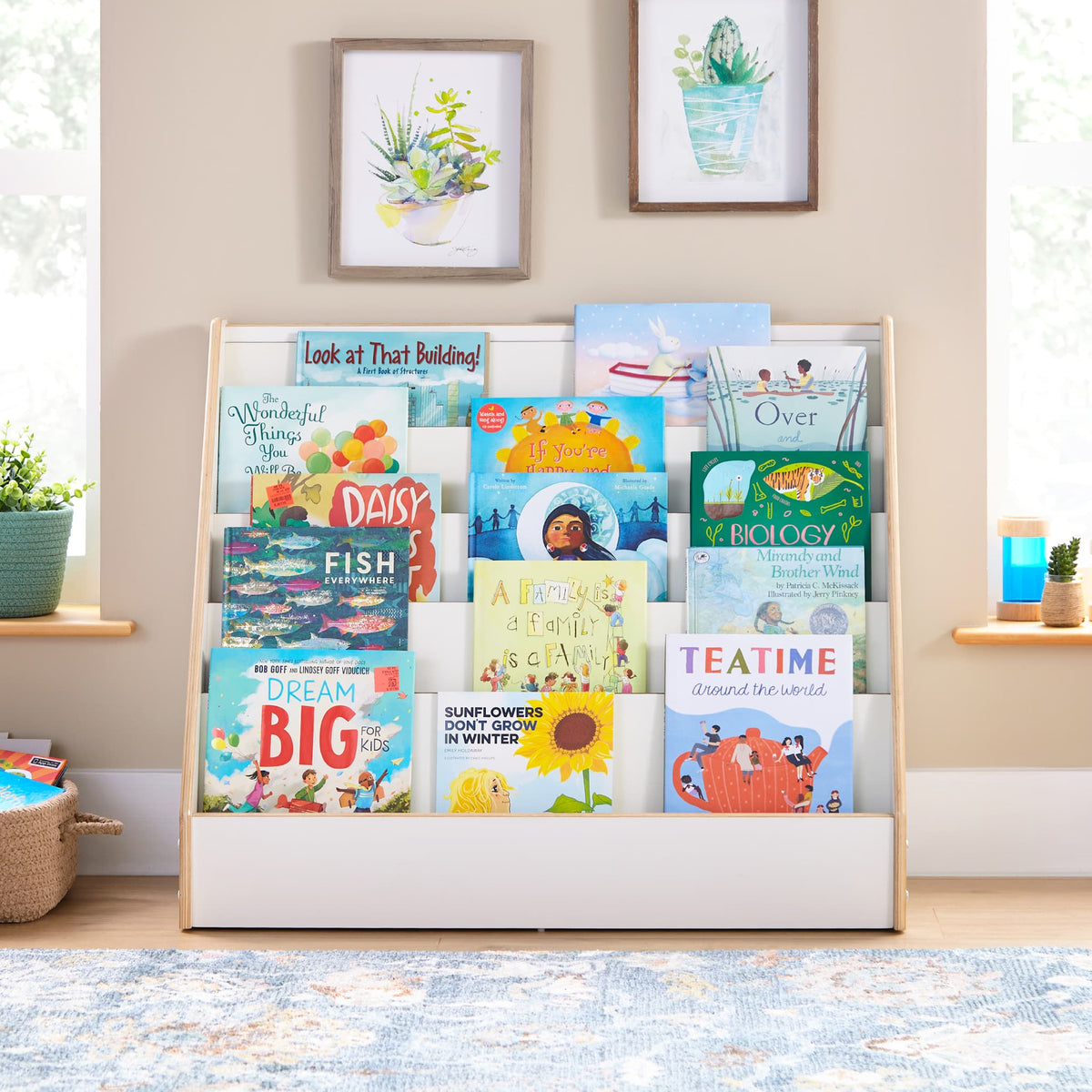 G80335 EdQ Book Display White Env 0469 | White